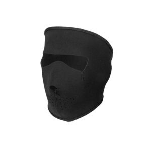 Ski Mask
